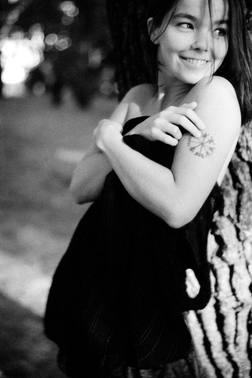  Björk photo
